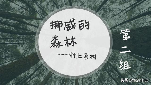 挪威的森林小说（挪威的森林小说讲的是什么）