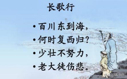 长歌行（长歌行演员表）