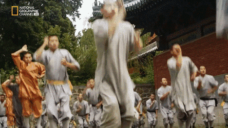 功夫咏春电影（功夫咏春电影结局）
